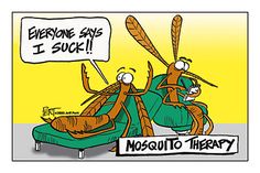 Mosquito joke