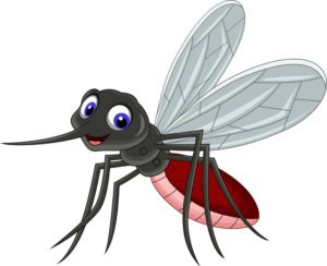 Mosquito Image, Autobiography of a Mosquito